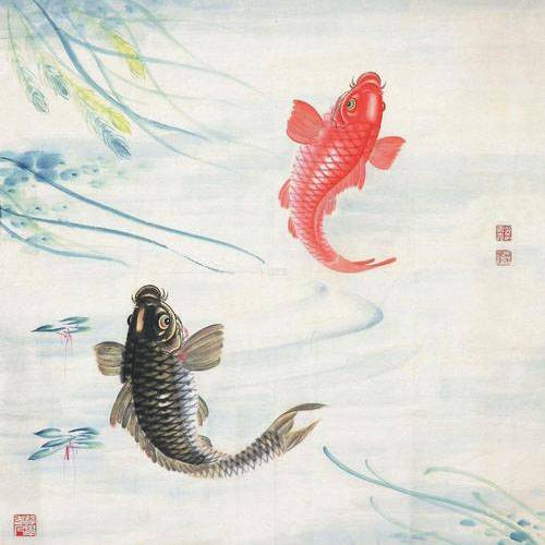 花鸟鱼虫作品专卖